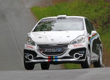 peugeot-208-r2-rally-car-6