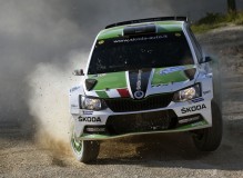scandola-skoda-fabia-r5_2017